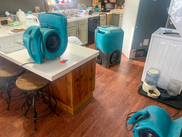 Best Water damage cleanup near me  in Laware City, DE