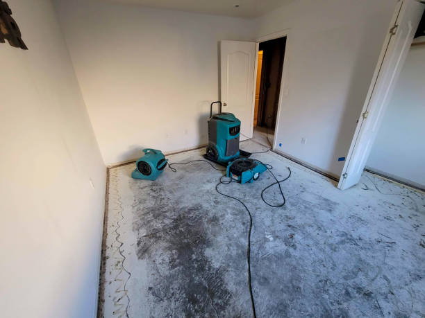 Best Residential water damage restoration  in Laware City, DE