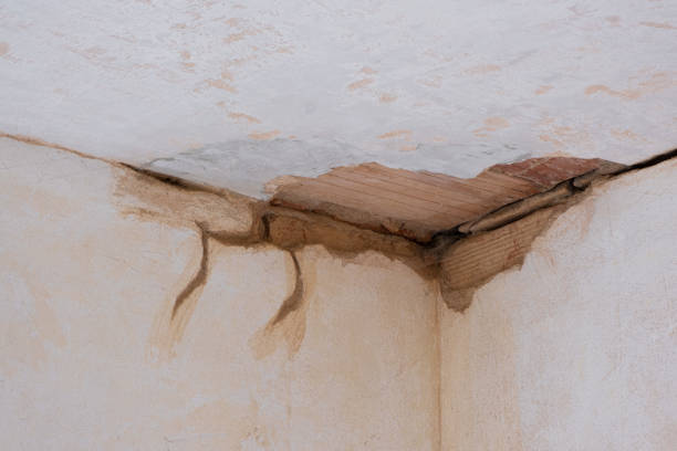 Water damage restoration experts in Delaware City, DE