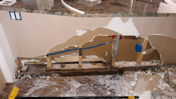Best Professional water damage repair  in Laware City, DE