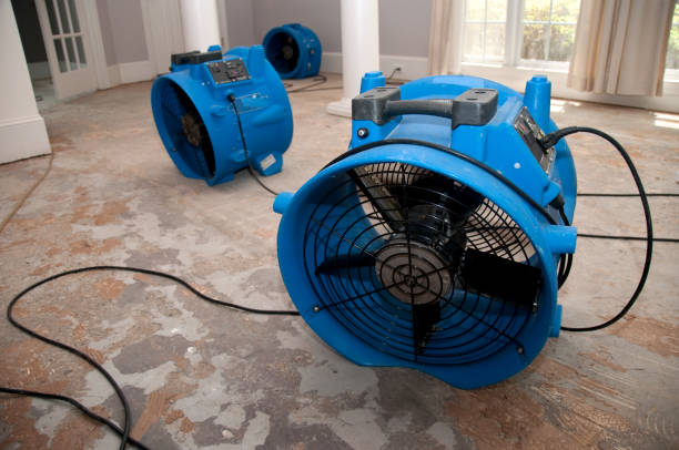 Best Mold removal after water damage  in Laware City, DE