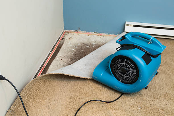 Best Flooded house restoration  in Laware City, DE